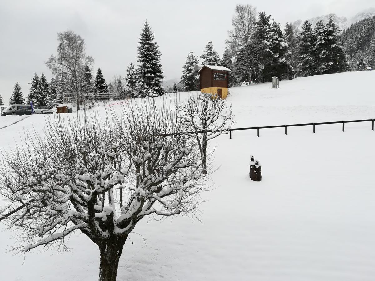 Torgon Romantic Chalet-Style Flat With Mountain View מראה חיצוני תמונה